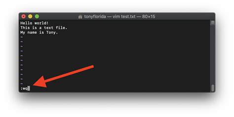 How to save a file in vim