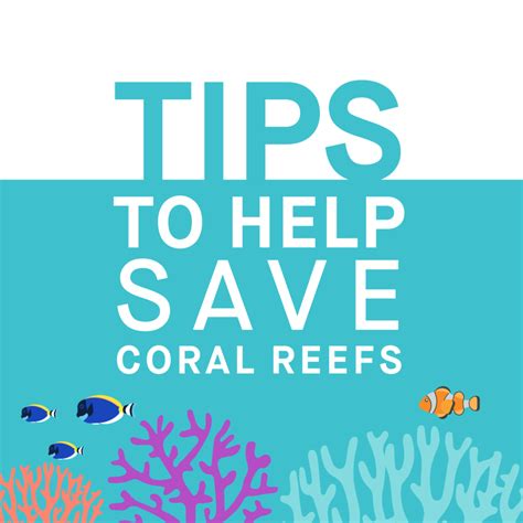 How to save the coral reef - Medium