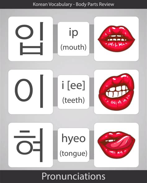 How to say "Mouth" in Korean (입) - Speechling