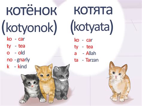 How to say Cat in Russian - YouTube