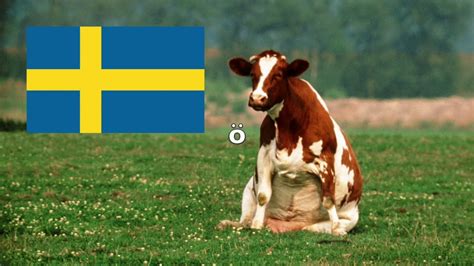 How to say Island in Swedish? - Definitions.net