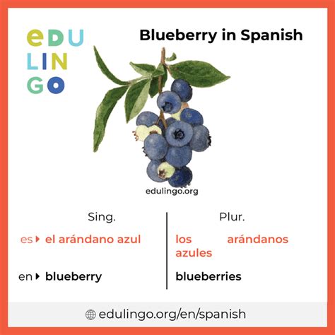 How to say berry in Spanish