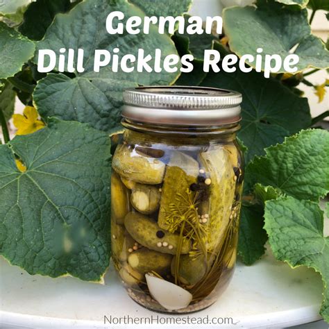 How to say dill pickle in German? - YouTube