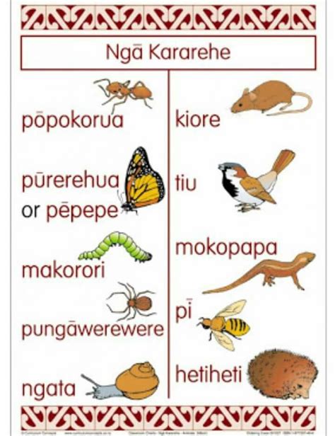 How to say insect in Maori - WordHippo