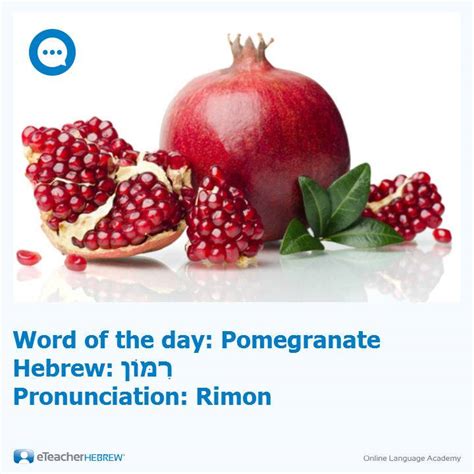 How to say pomegranate in Hebrew? - Definitions.net