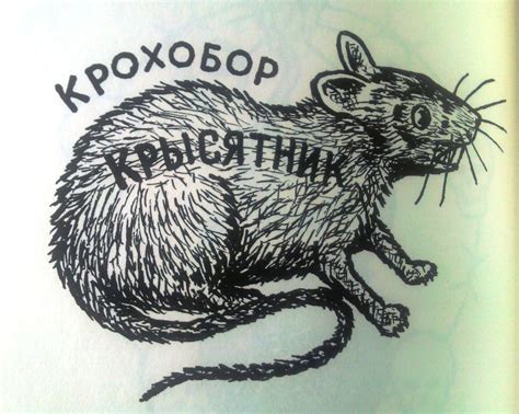 How to say rat-tat in Russian - WordHippo