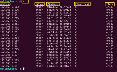 How to see arp table in linux