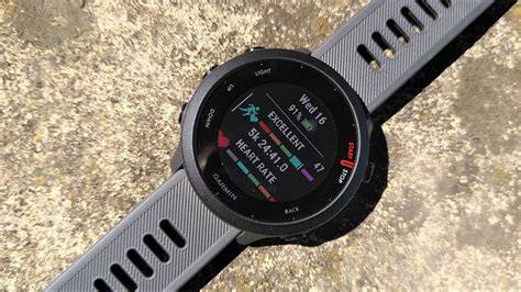 How to see steps on garmin forerunner 55.  The step count is updated peri...