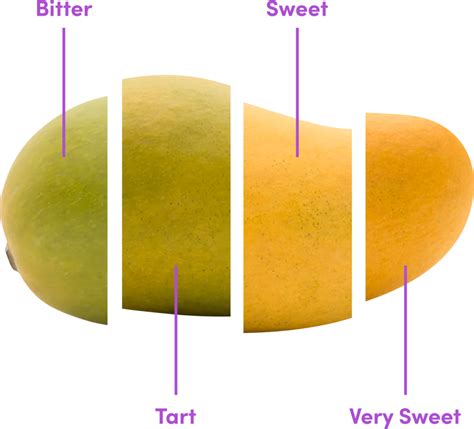 How to select Champagne Mango