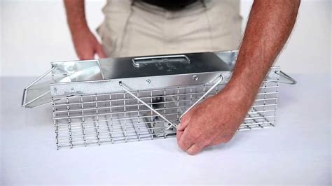 How to set a havahart trap. The Havahart&reg; X-Large 1-Door Live Animal Trap is the largest and most rugged live trap, designed and trusted by professionals for the humane capture of big raccoons and fox-sized critters. The heavy-duty cage is carefully constructed to stand up to the strongest animals, and the trip plate's sensitivity is fine-tuned to the weight of a large beaver, groundhog or small dog, so smaller ... 