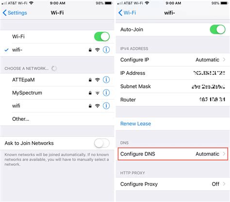 How to set dns in iphone