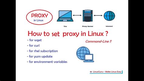 How to set proxy in linux
