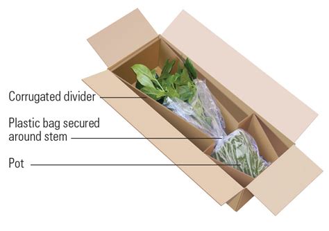 How to ship plants. Our minimum charge is $16.95 from July 4 2023. You can ship from one to 16 plants for this rate. Our boxes are designed to fit 16 plants, so if you want to maximise your order value, order in multiples of 16 plants. Orders over $320 are P&P free. In between, the rate is determined by the size of your order. 