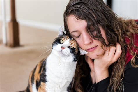 How to show affection to your cat