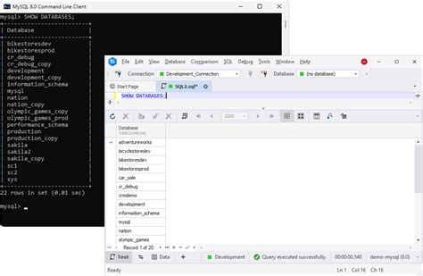 How to show database in sql