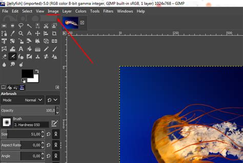 How to shrink an image in gimp