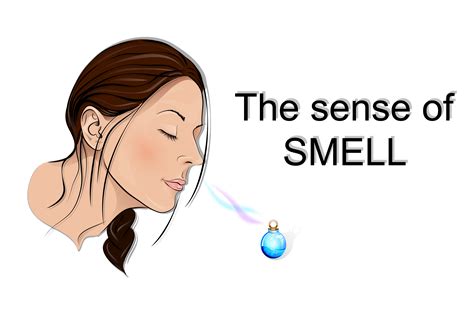 How to smell better. Things To Know About How to smell better. 