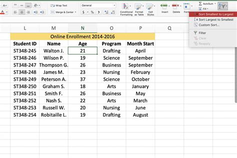 How to sort by data in excel