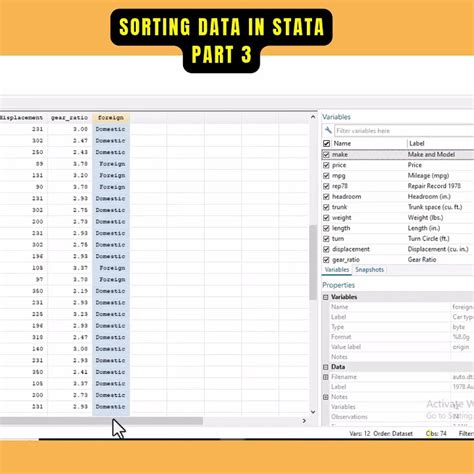 How to sort in stata