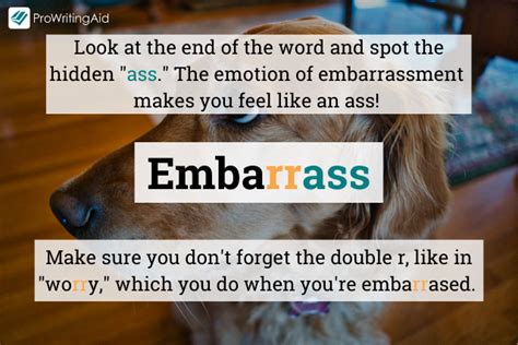 How to spell embarrassed in english