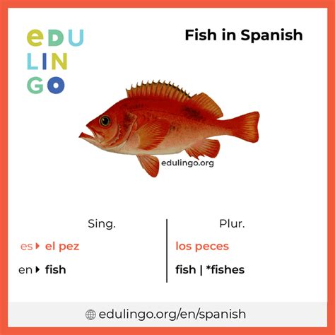 How to spell fish in spanish