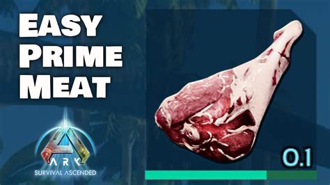 How to stack prime meat ark ascended nitrado.  Mar 8, 2017 · Hello again, another ...