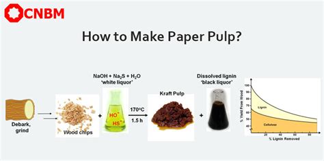 How to start a bleached paper pulp made by non dissolving processes business beginners guide. - L' expansion de montréal (greater montreal).