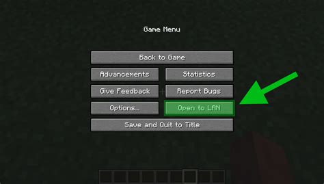How to start minecraft lan server