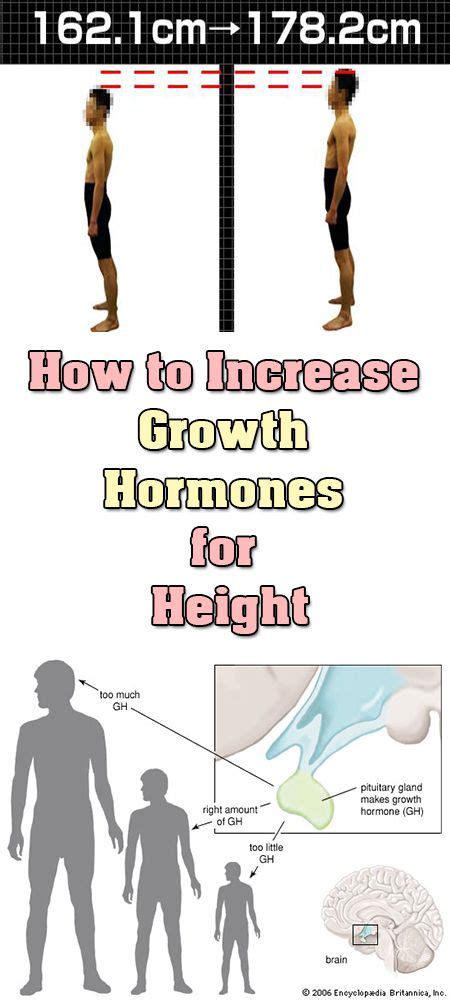 How to stimulate growth in height