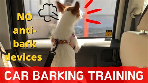 How to stop car barking - YouTube