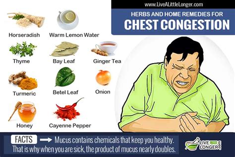 How to stop chest cold