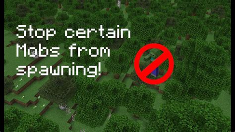 How to stop spawners in minecraft