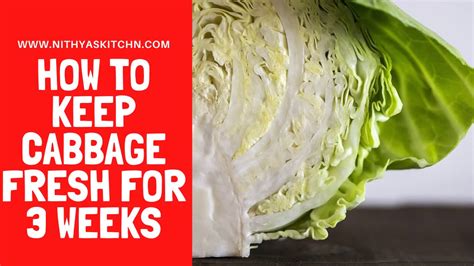 How to store cabbage. First, blanch the cabbage by briefly immersing it in boiling water and then transferring it to ice water to stop the cooking process. After blanching, drain the cabbage, pat it dry, and store it in airtight freezer bags or containers. Frozen cabbage can last for up to 8-12 months. Canning: Another way to store cabbage long-term is through ... 