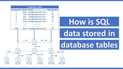How to store data in sql database