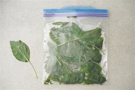 How to store fresh basil in fridge