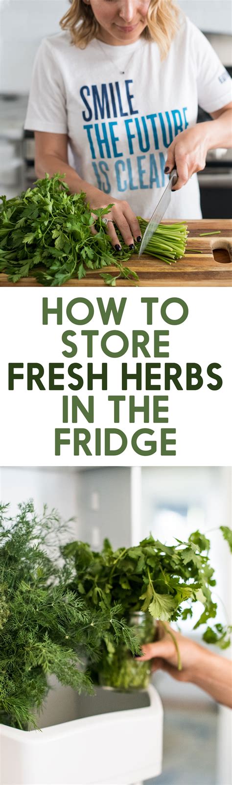 How to store fresh herbs in fridge