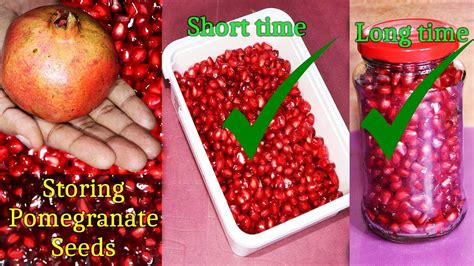 How to store pomegranate seeds. Let’s explore the ideal storage conditions for pomegranate seeds in the fridge. When stored in an airtight container or a resealable plastic bag, pomegranate seeds can last in the fridge for up to 5-7 days. It is important to make sure that the seeds are completely dry before refrigerating them. Additionally, placing a paper towel at the ... 