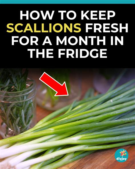 How to store scallions in fridge