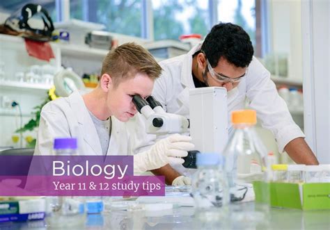 How to study biology in university