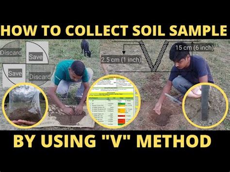 How to take soil sample by V method YouTube