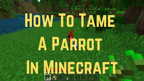 How to tame a Parrot in Minecraft Steps to Find Tame Parrot 
