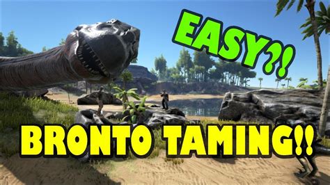 How to Tame Brontosaurus? The Brontosaurus can be immobilized using a Large Bear Trap and thereafter, it may be shot at with tranquilizing weapons by you and your tribe.. It is also possible to tame a …. 