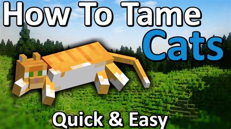 How to tame a cat minecraft