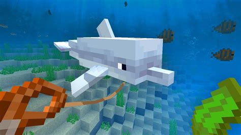 How to tame a dolphin in minecraft
