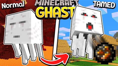 How to tame a ghast in minecraft