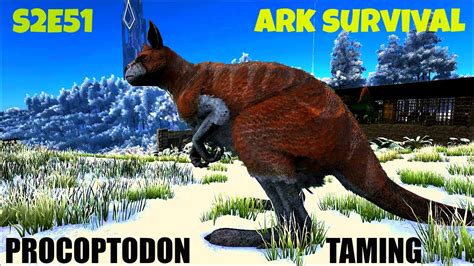 How to tame, tame or tame dinosaurs in ARK: Survival Evolved - Dinosaurs, Golems, Kangaroos and more. ... For example, to tame the famously named "kangaroo", Procoptodon requires another strategy. The animal is very fast, then you'll have to ride another beast quick to drive it out. Equip the crossbow with tranquilizer arrows to get shot while ...