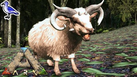 How to tame a ovis in ark. Aside from being a fast way to heal dinos in Ark and sate their hunger, Sweet Vegetable Cake has other uses in the game. This is the taming food used when you want to tame an Ovis or an Achatina, which will tame them quickly and is pretty much the only food they accept during the process. How to Make Sweet Vegetable Cake (Recipe) 