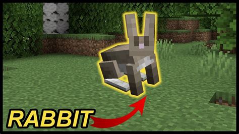 How to tame a rabbit in minecraft