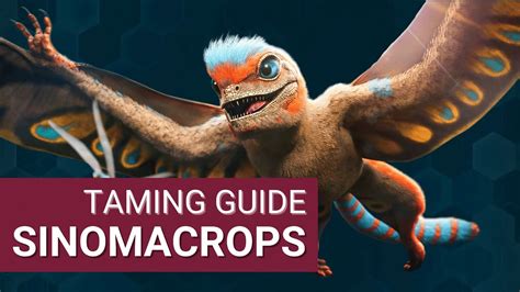 How to tame a sinomacrops. Things To Know About How to tame a sinomacrops. 