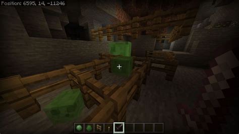 How to tame a slime in minecraft